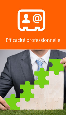 efficacite-professionnelle-formation-brynod